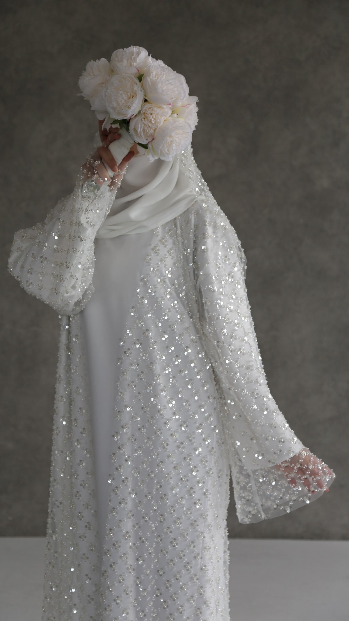 Amira image 2