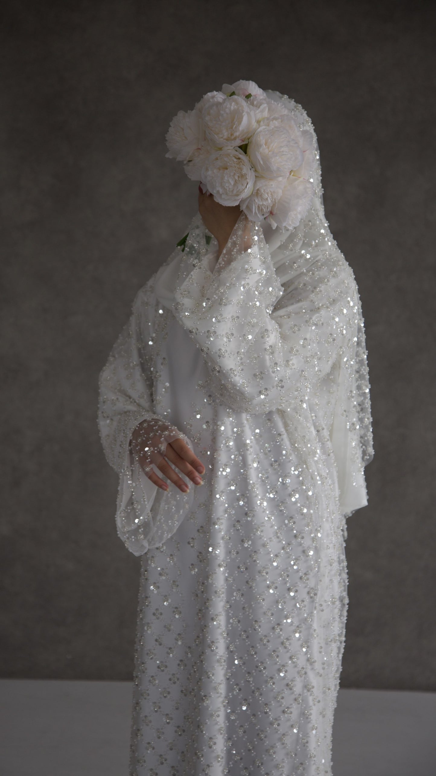 Amira image 0