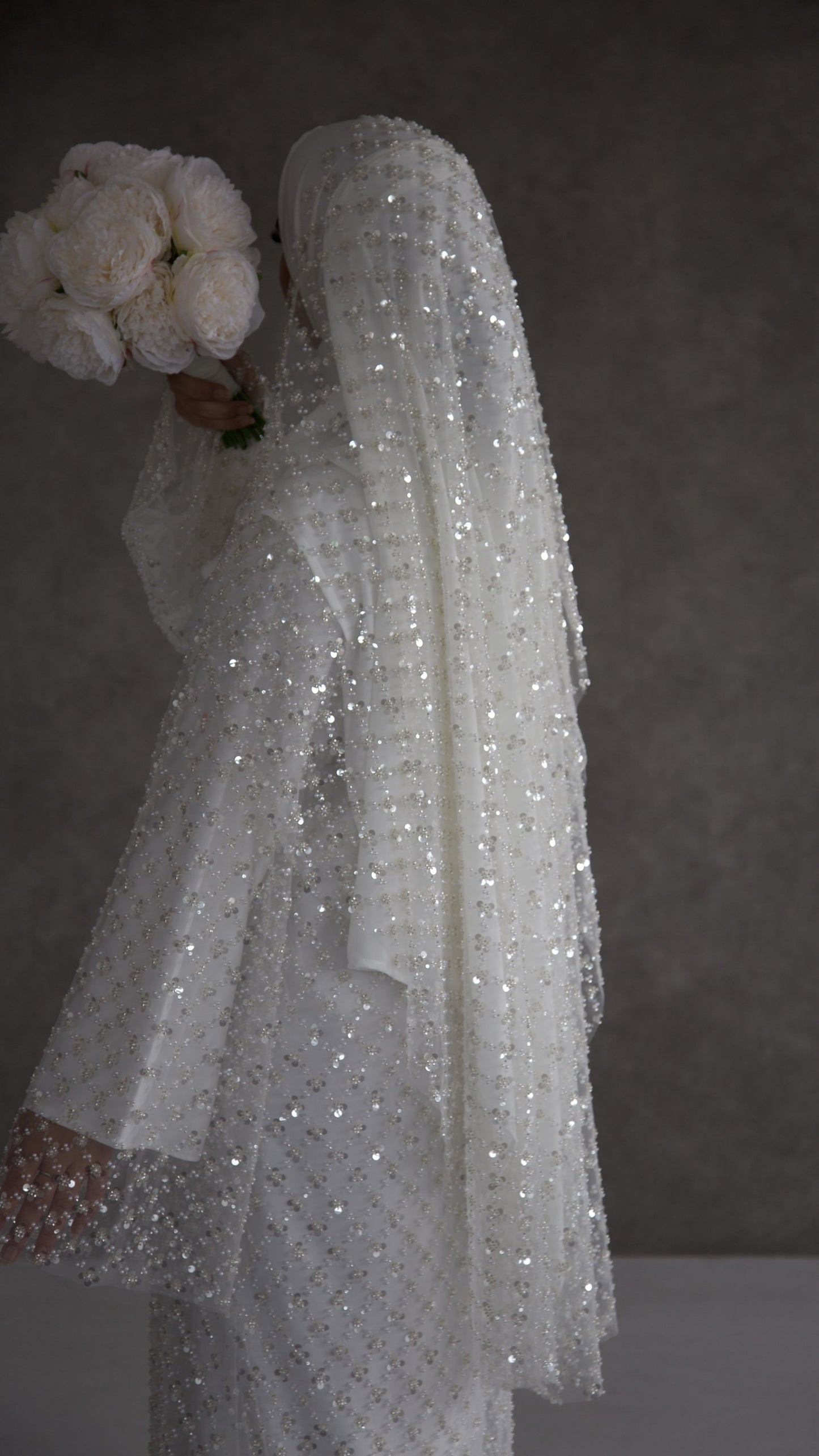 Amira image 7