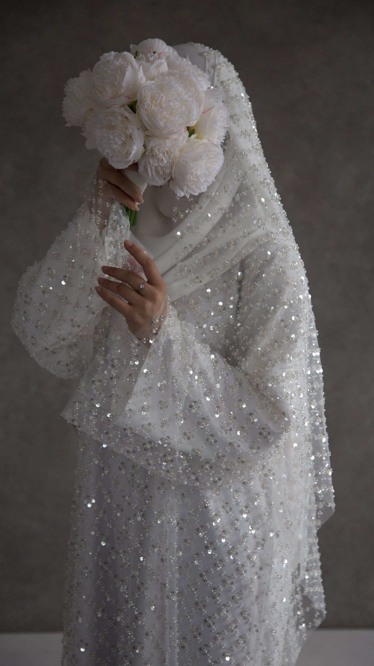 Amira image 6