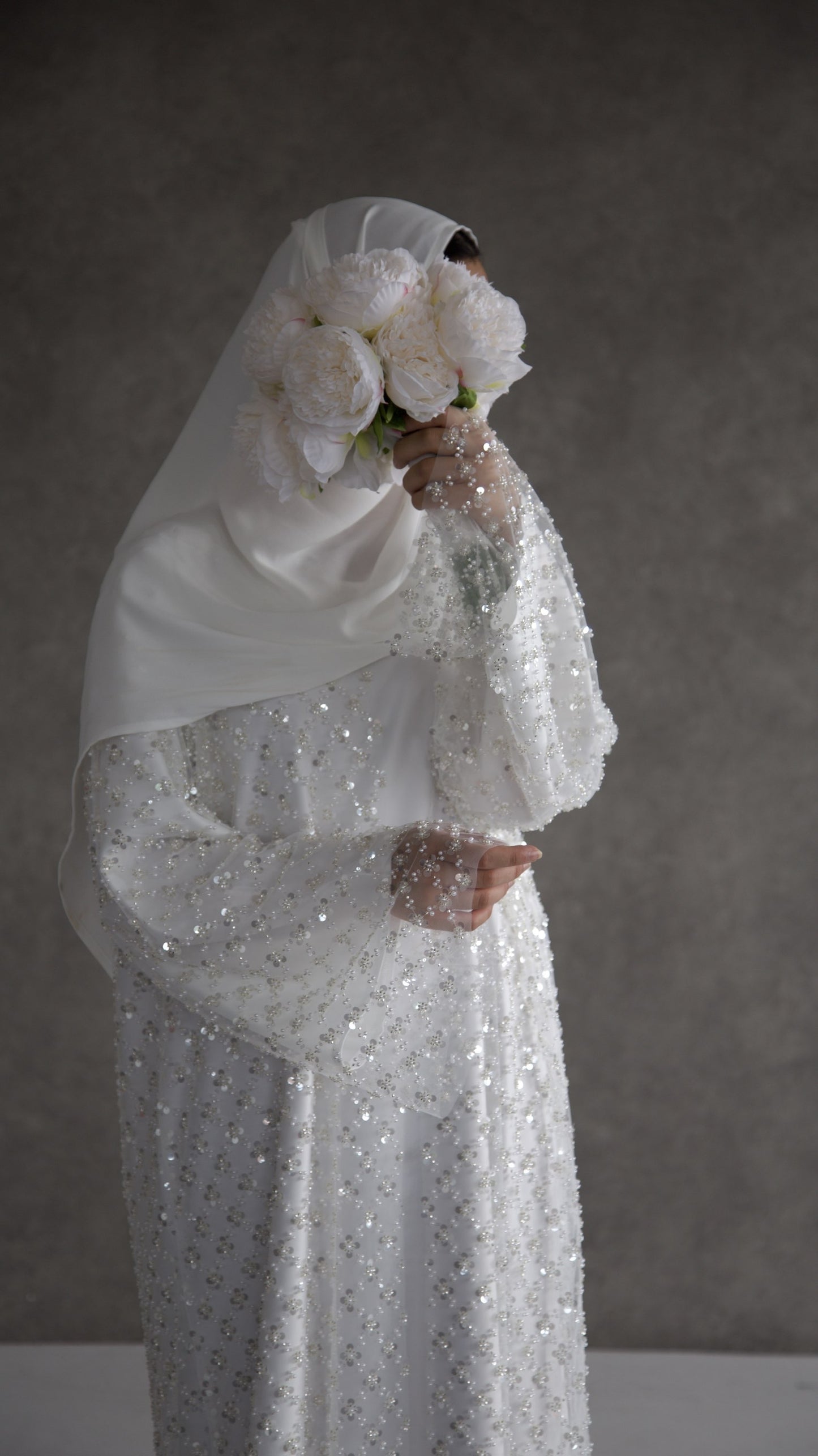 Amira image 3