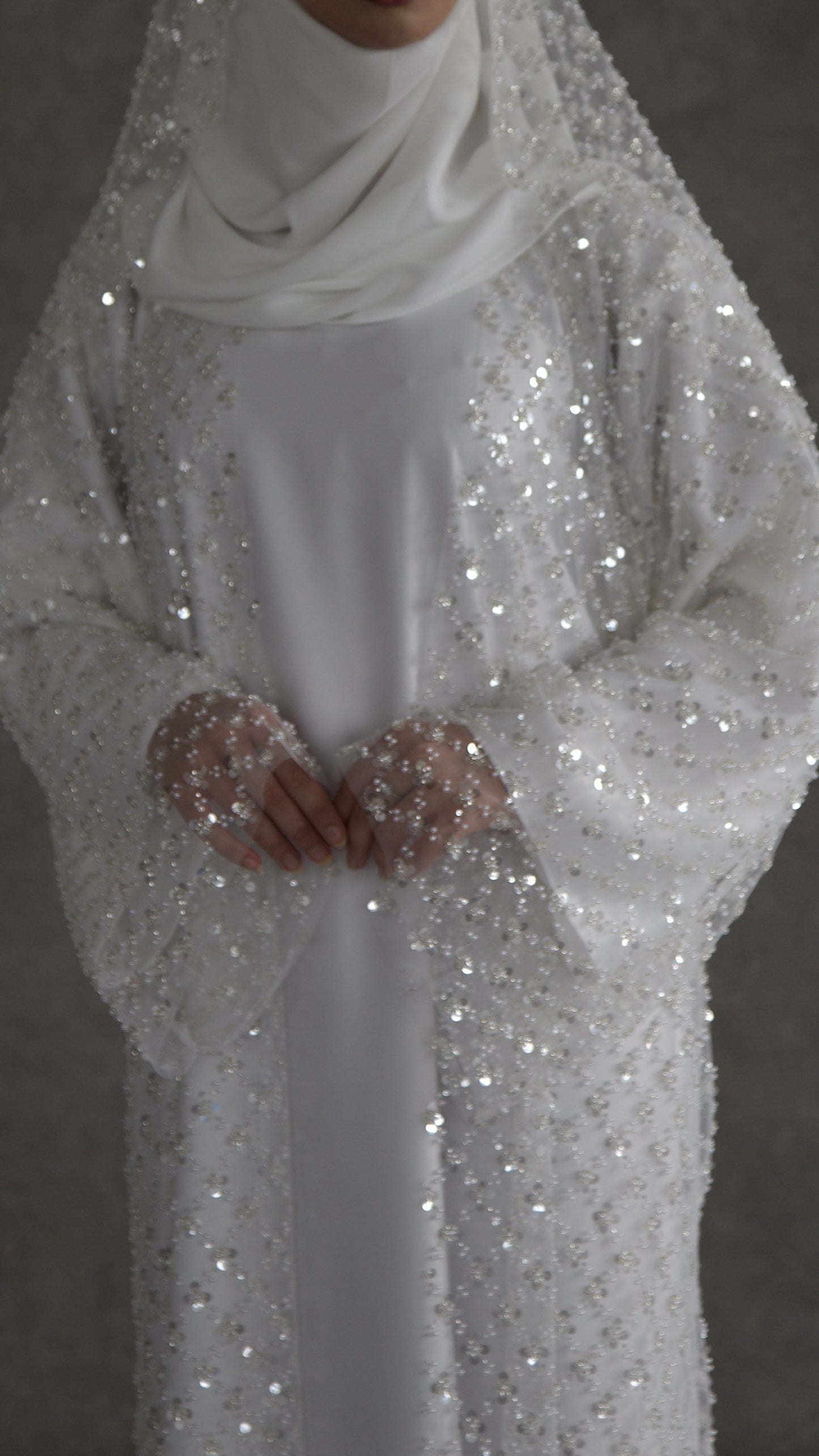 Amira image 4