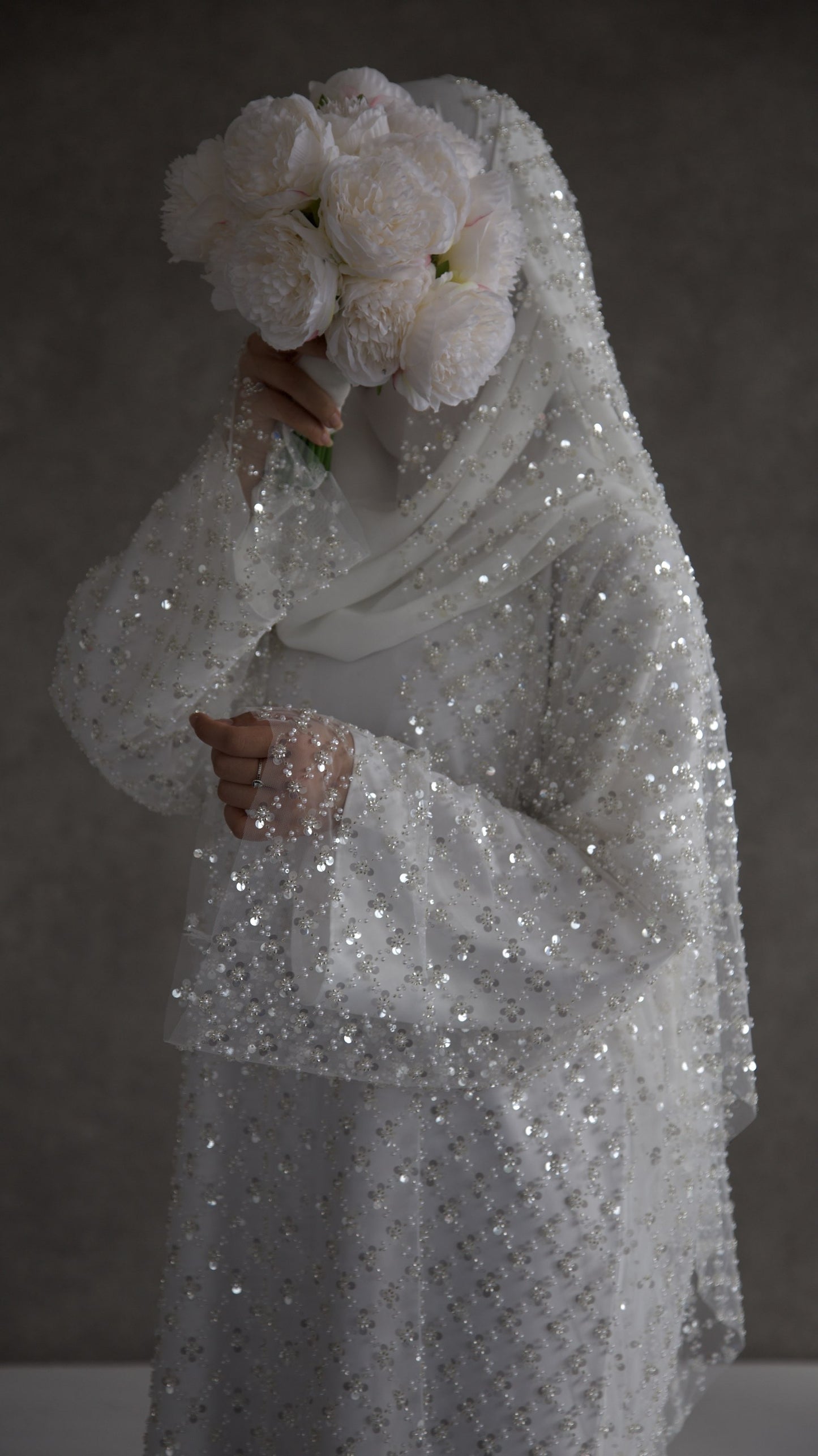 Amira image 1