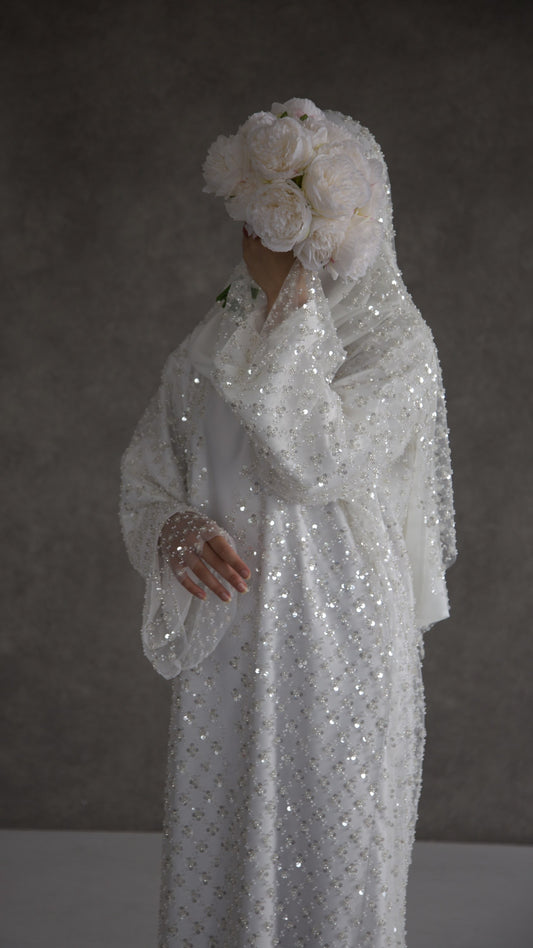 Amira image 0
