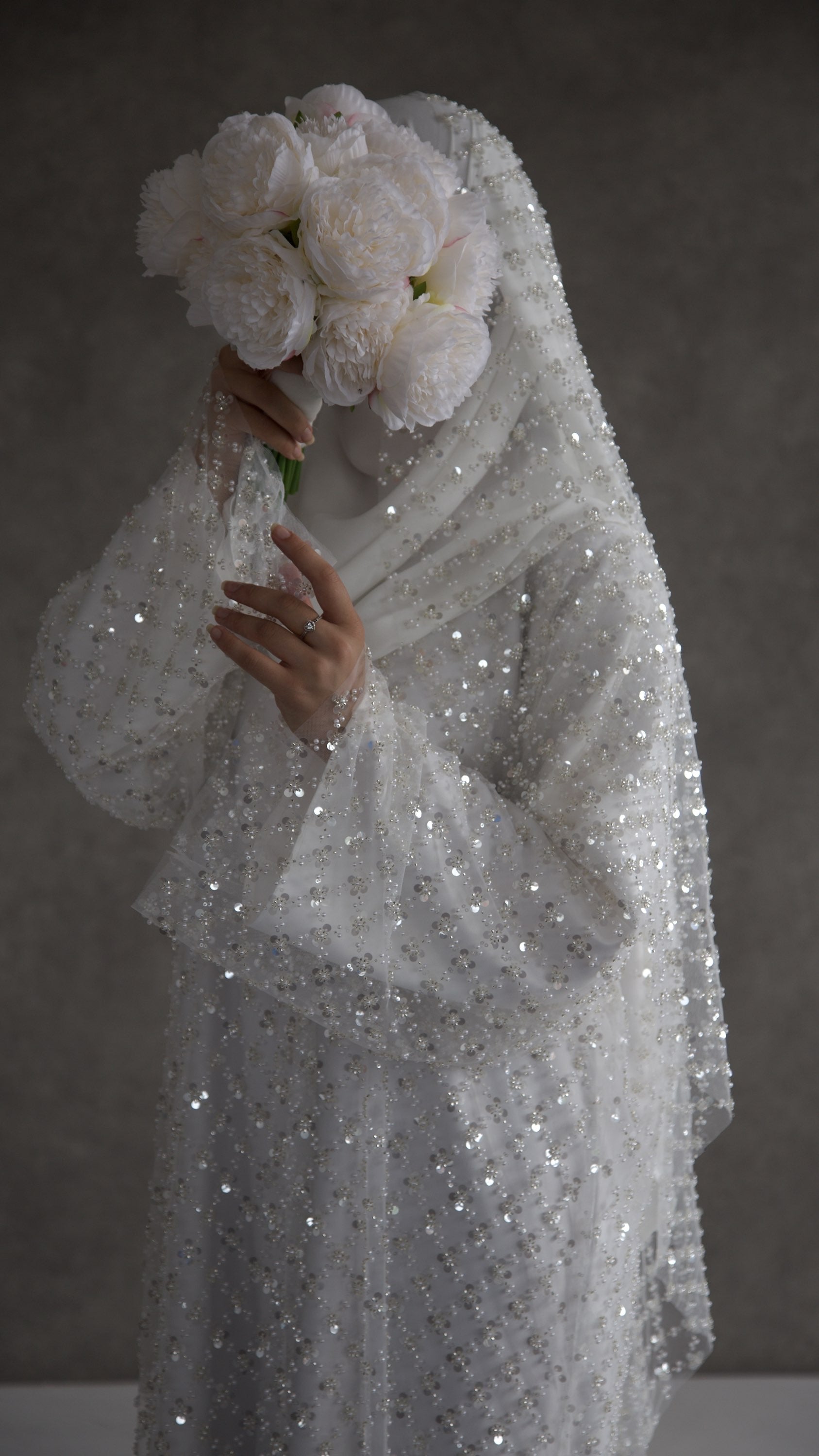 Amira image 6