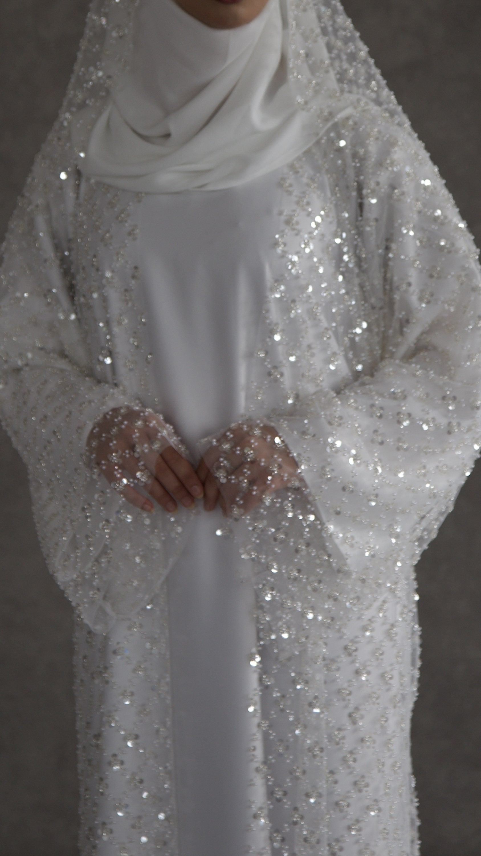 Amira image 4